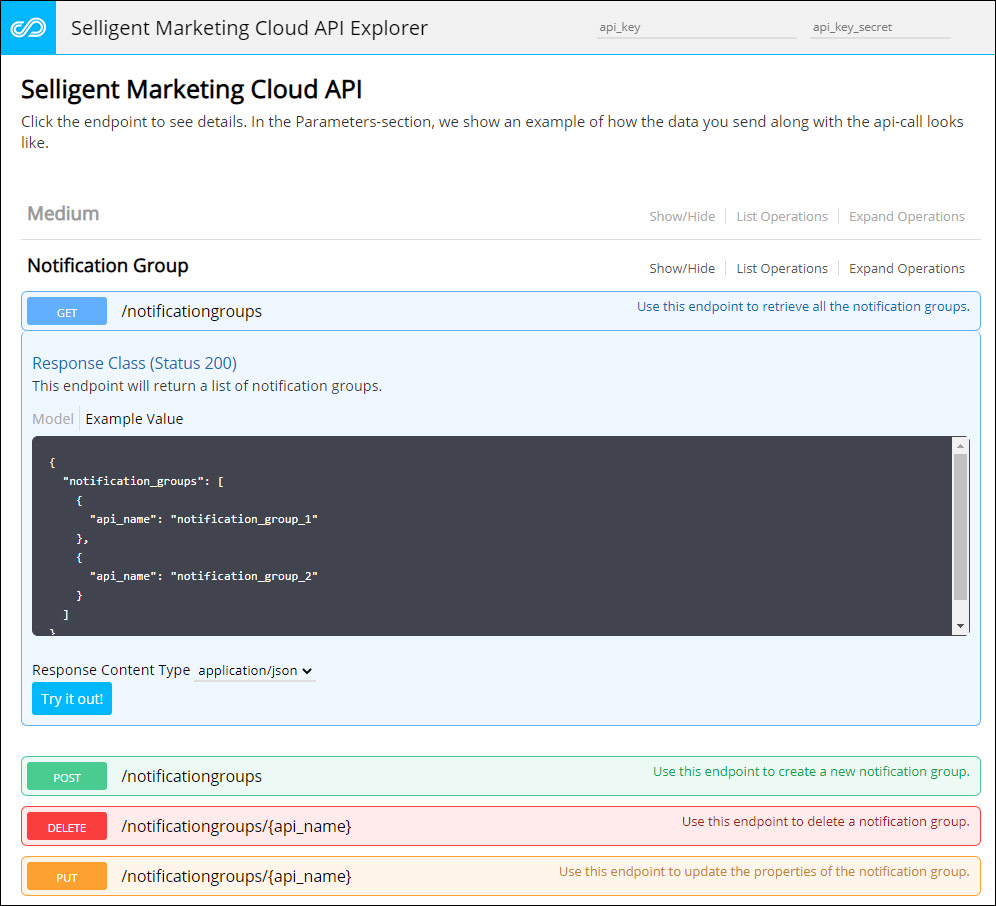 Selligent API Explorer Interface Screenshot